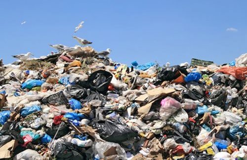 What Are Examples Of Municipal Solid Waste